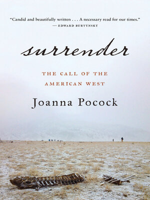 Surrender - ebook
